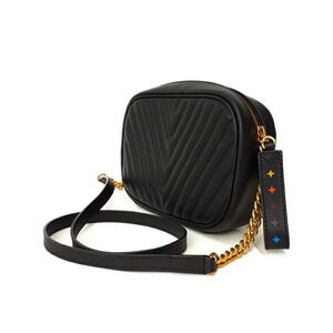 Louis Vuitton Camera Wave Bag Shoulder